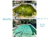 Tampa Bay Pool Service photo 4