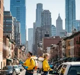 Jersey City Elite Pest Control photo 5