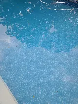 Clearwater Pools & Patios photo 6