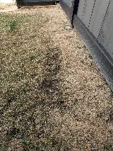 Frank's Lawn Care & Rototilling Service LTD photo 3