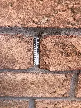 Fast Pest Control - Oakville photo 4