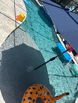 MIAMI POOL EXPERTS INC photo 8