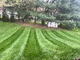 Cesar's Lawn Maintenance and Masonry photo 3