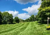 Cardinal Green Landscaping