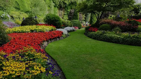 Diamond Landscapes photo 1