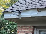Accel Pest & Termite Control photo 7