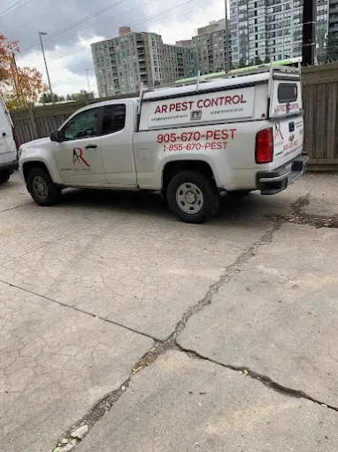 AR Pest Control Mississauga in Mississauga