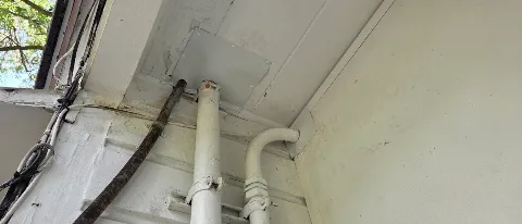Dade Pest Solutions in Cutler Bay