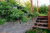 Madroño Landscape Design Studio photo 2