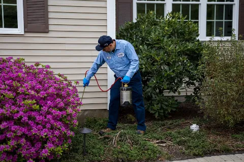 Big Blue Bug Solutions photo 1