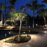 DM Landscape and Maintenance photo 3