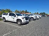 Old Island Pest Control photo 5