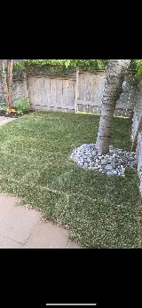 Mikes Sod & Landscape photo 8