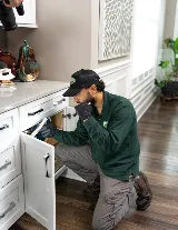 Green Shield Pest Pros photo 7
