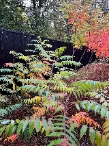 GardenLandscapes photo 6