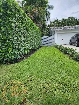 M.C. GENERAL LANDSCAPING, INC. photo 4