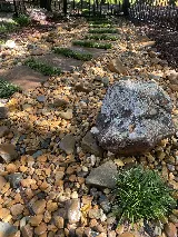 Novation Landscapes & Irrigation photo 5