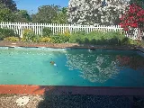 Teresa's Pool and Spa Care photo 6