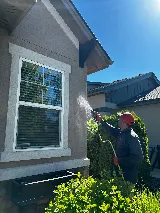 Vertex Pest Control photo 3