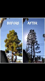 Greatland Landscape, Inc. photo 5