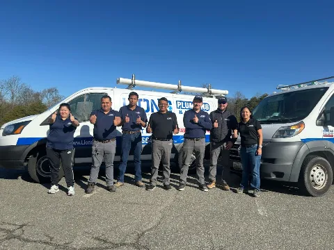 Lion's Plumbing and Heating in Bowie