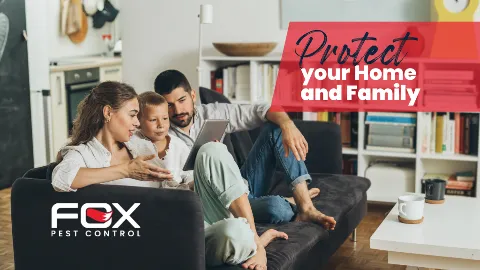 Fox Pest Control Midland photo 1