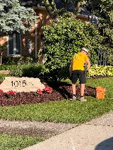 V.I.L. Landscaping photo 7