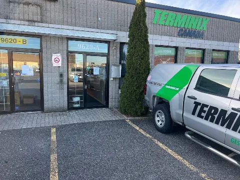 Terminix Canada Exterminateur Montréal photo 1