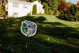Green Shield Pest Solutions photo 8