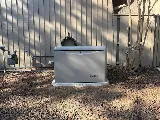 LiveWire Electrical photo 6