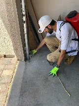 Pest Pros Las Vegas photo 6