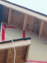 Rat N Roaches Pest Control photo 3