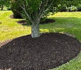 Prime Landscapers photo 3
