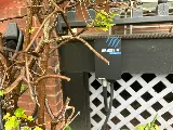 Pihach Electric photo 5