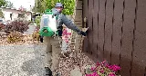B.O.G. Pest Control photo 8