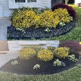 Active green Llc Lawn care & landscaping photo 3