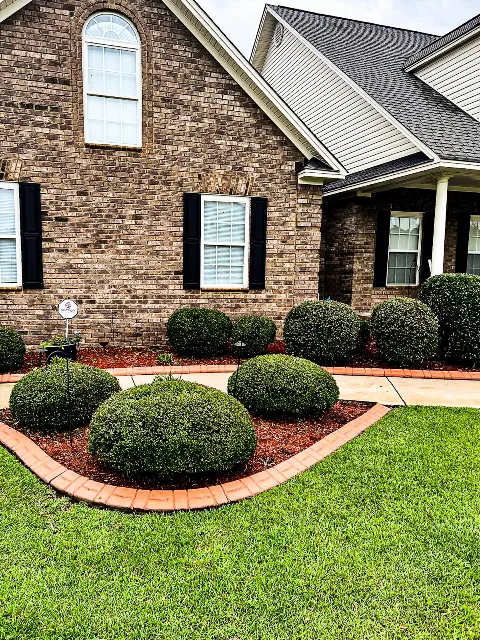 Model One Landscape Design photo 1