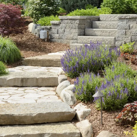 Natural Green Landscape Inc photo 1