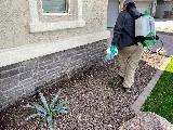 Green Home Pest Control Tucson photo 6