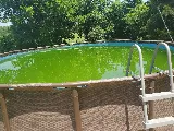 The Pool Guy/The Pool Store photo 4