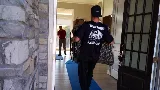 TopDogg Moving