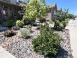 AAA Landscaping ltd Aurora Colorado photo 8