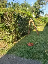 United landscaping cleaning management services photo 8