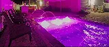 Patriot Pools of Virginia, LLC photo 4