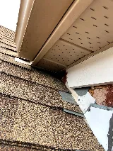 Pest Protection Plus Inc. photo 7