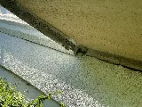 Midwest Pest Control photo 7