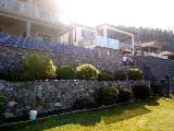 VitaNova Landscape Ltd. photo 7