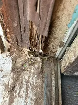 Supreme Termites & Pest Control photo 6