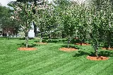 Reinhart Landscaping & Snow photo 6