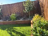 Plano Landscaping Company photo 5